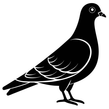 kuş vektörü, kuş simgesi tasarımı