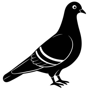 Güvercin ikonu. vektör illüstrasyonu