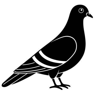 güvercin kuşu, illüstrasyon, vektör, beyaz arkaplanda