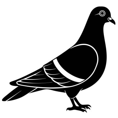vektör görüntü. siyah bir güvercin silueti