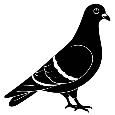 siyah kuş vektör çizimi, profil kenar görünümü