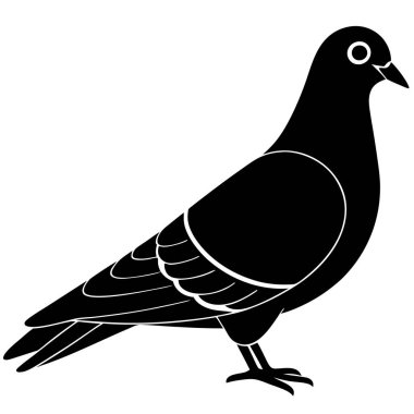 Güvercin ikonu. Beyaz arkaplanda izole edilmiş web için basit bir barış vektör simgesi çizimi