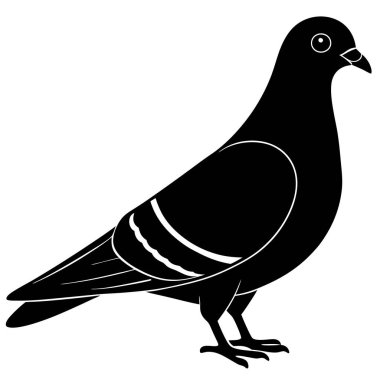 güvercin vektör illüstrasyonu, simge ögesi arkaplanı