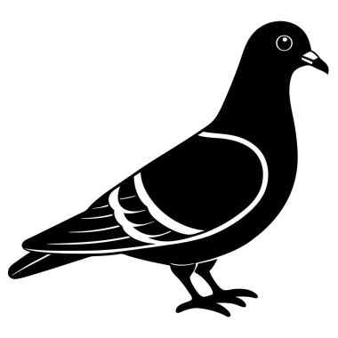 Beyaz arkaplanda siyah bir güvercin silueti