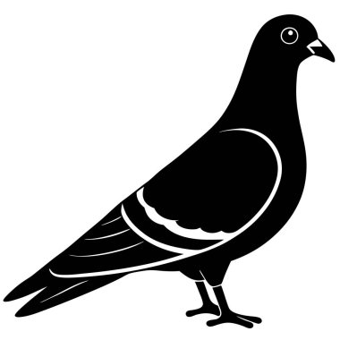 Bir kuşun vektör çizimi