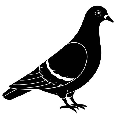 Güvercin simge vektör çizim