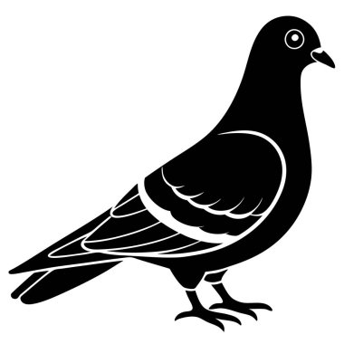 Beyaz arkaplan vektöründe siyah siluet kuş