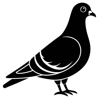 Bir kuşun vektör çizimi