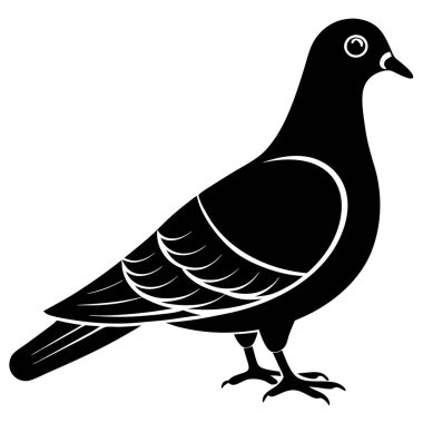 Güvercinin vektör görüntüsü