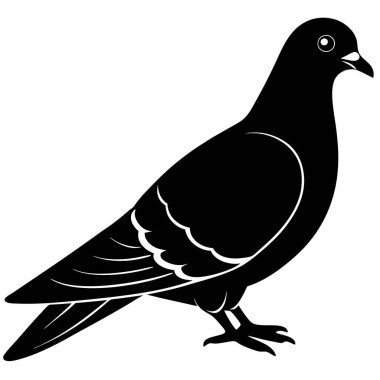 Kuş siluet vektör siyah