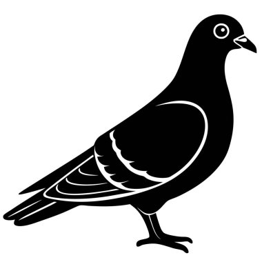 Güvercin simge vektör çizim