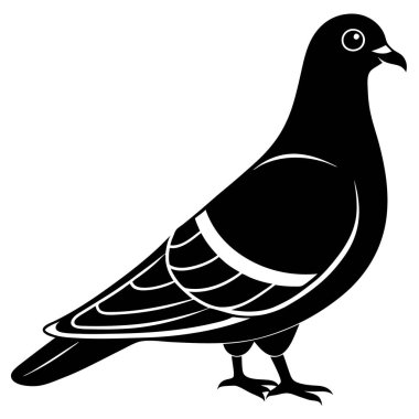 Siyah güvercinin vektör görüntüsü