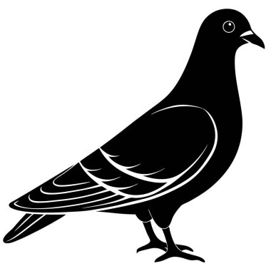 Siyah kuş vektör çizimi