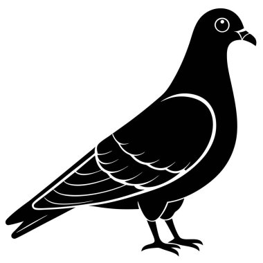 kuş vektör tasarımı illüstrasyonu