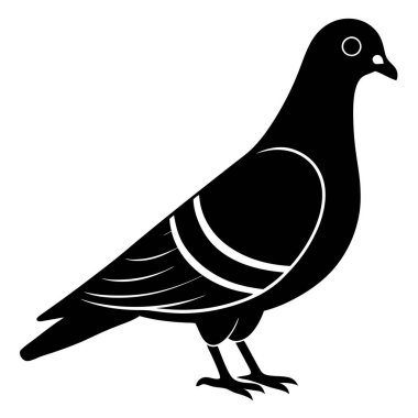 Beyaz arkaplanda izole edilmiş bir kuşun siyah silueti