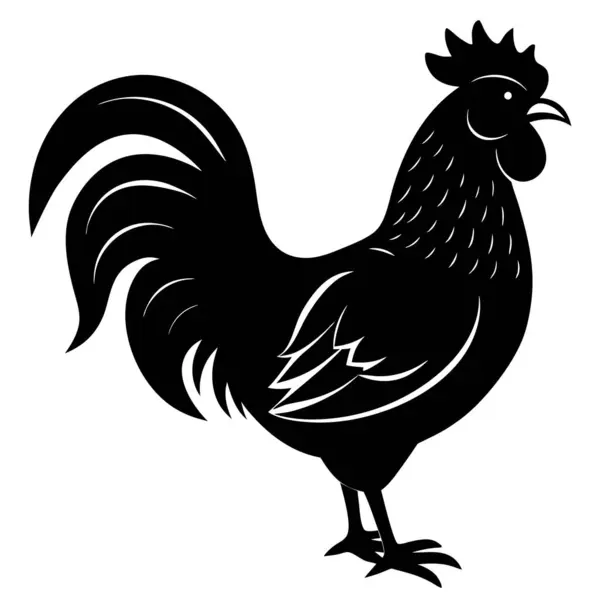 Vektör çizimi. Beyaz arkaplanda siyah tavuk