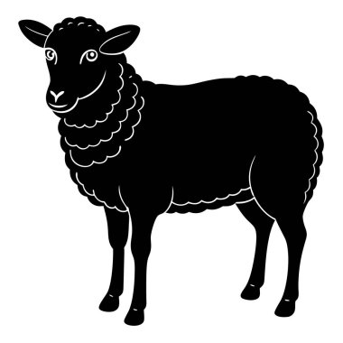Beyaz arkaplanda koyunların vektör çizimi