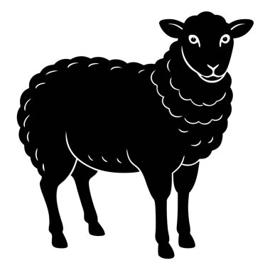 Beyaz arka plan üzerinde izole koyun vektör çizim