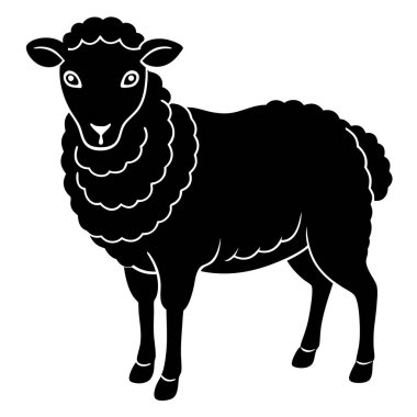 Beyaz koyunun yüz karası. beyaz arkaplanda izole