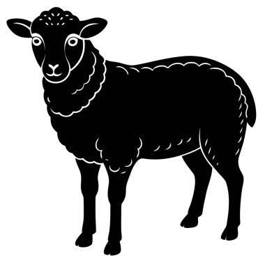 kara ve beyaz koyunlar