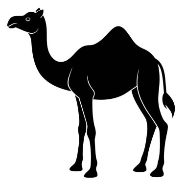 Bir deve vektör çizimi