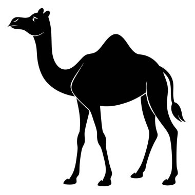 Deve simgesi, vektör illüstrasyonu