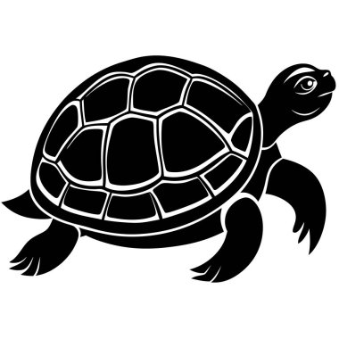 Siyah arkaplanda kaplumbağa vektör çizimi,