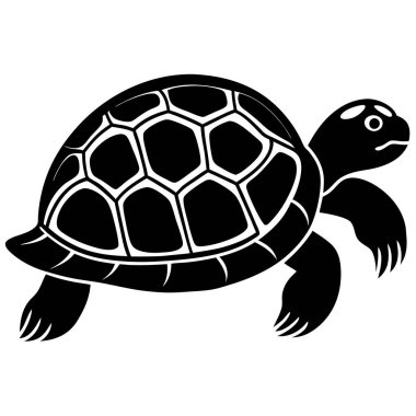 Kaplumbağa ikon vektörü. karikatür çizimi izole edildi.