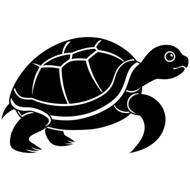 Beyaz arkaplanda kaplumbağa vektörü