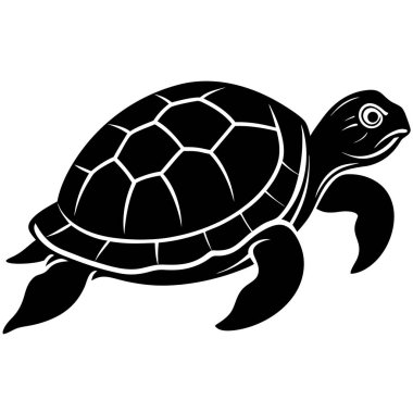 Kaplumbağa vektör çizimi
