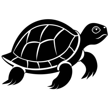 Kaplumbağa hayvan vektör görüntüsü