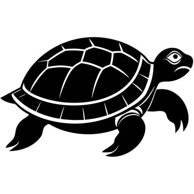 Beyaz arkaplanda kaplumbağa vektör silueti