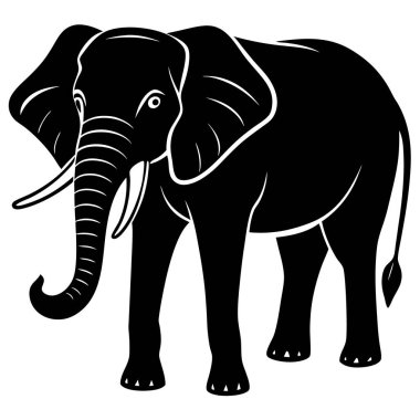 Bir filin vektör illüstrasyonu