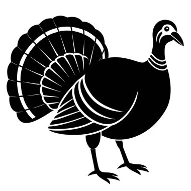 Türkiye'de vektör çizim