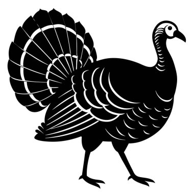 Beyaz arkaplanda hindinin vektör çizimi