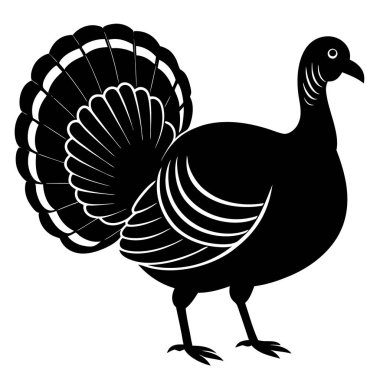 Şükran Günü hindi vektör çizimi. Siyah hindi. Türkiye simgesi