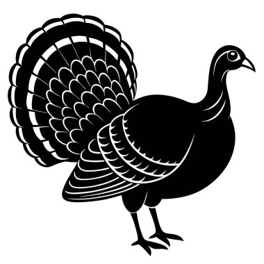 Şükran Günü hindisi.