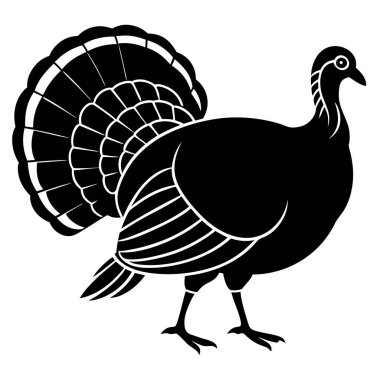 Bir hindinin vektör çizimi