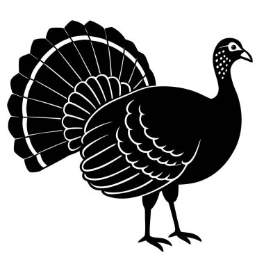 Siyah hindi üstüne beyaz.