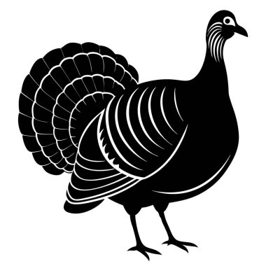 Türkiye'de vektör çizim