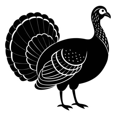 Türkiye şükran günü karikatür çizimi beyaz arka planda izole edildi. Şükran Günü hindisi Şükran Günü..