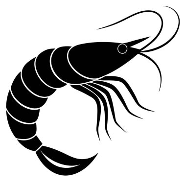 Karides. Beyaz arkaplanda vektör illüstrasyonu.