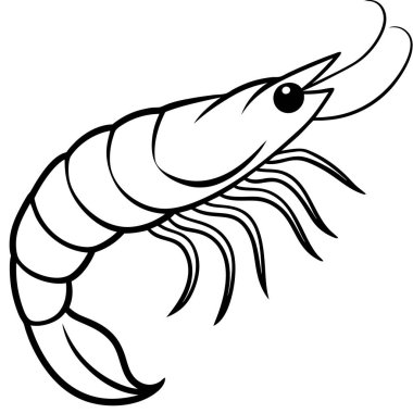 deniz karidesi, illüstrasyon, beyaz arkaplanda vektör