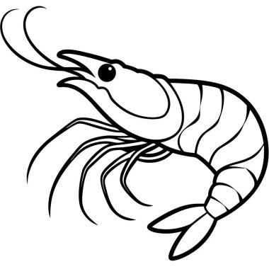 Hayvan karides vektör silueti