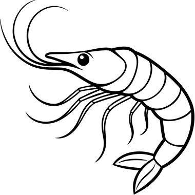 karidesin siyah beyaz çizimi