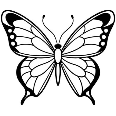 Beyaz arka planda izole edilmiş güzel kelebek, vektör, illüstrasyon, siyah ve beyaz