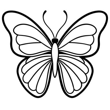 Beyaz arka planda kelebek