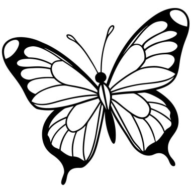 Beyaz arkaplanda siyah kelebek vektörü rengi