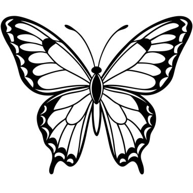 Beyaz arkaplanda kelebek vektör çizimi