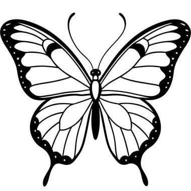 vektör kelebek, siyah beyaz illüstrasyon